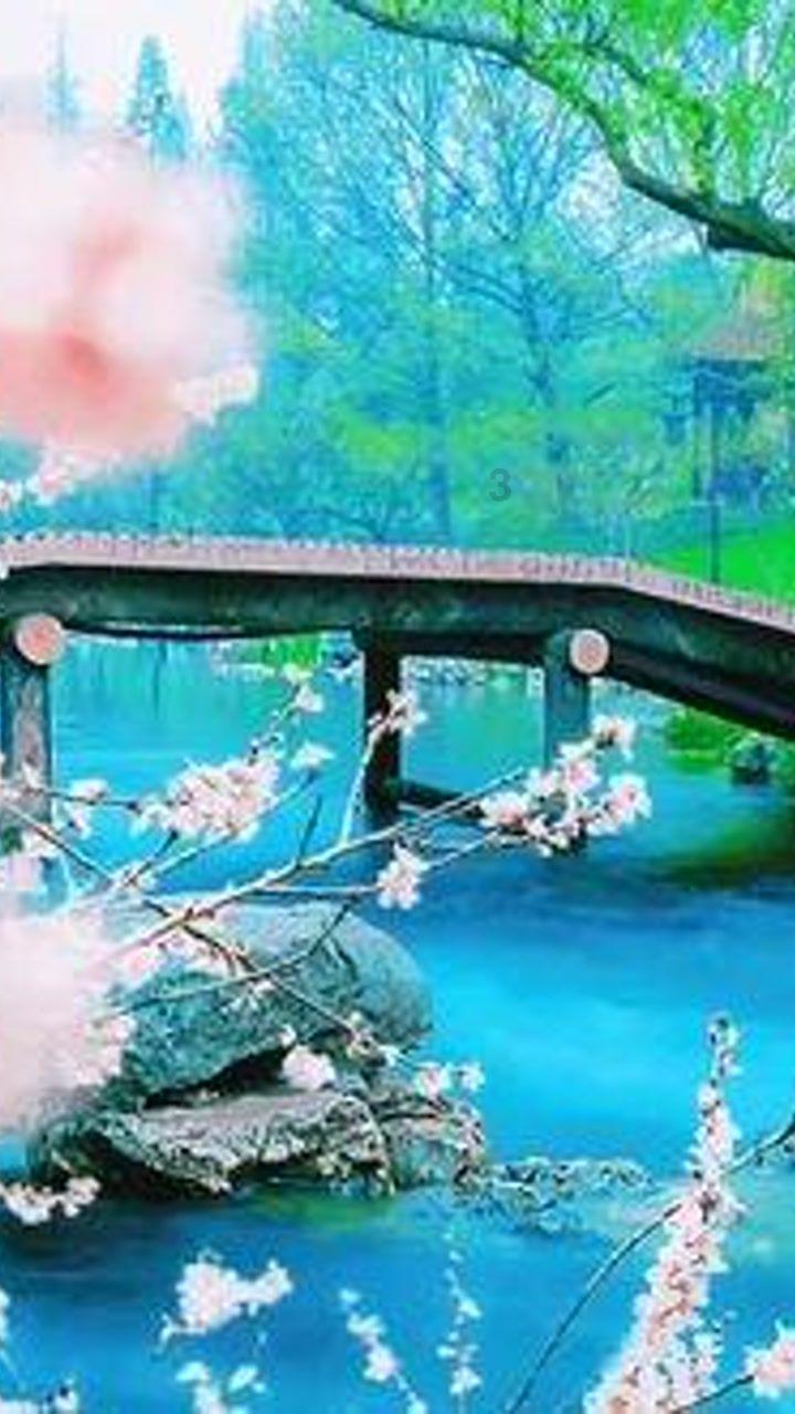 创作猫
